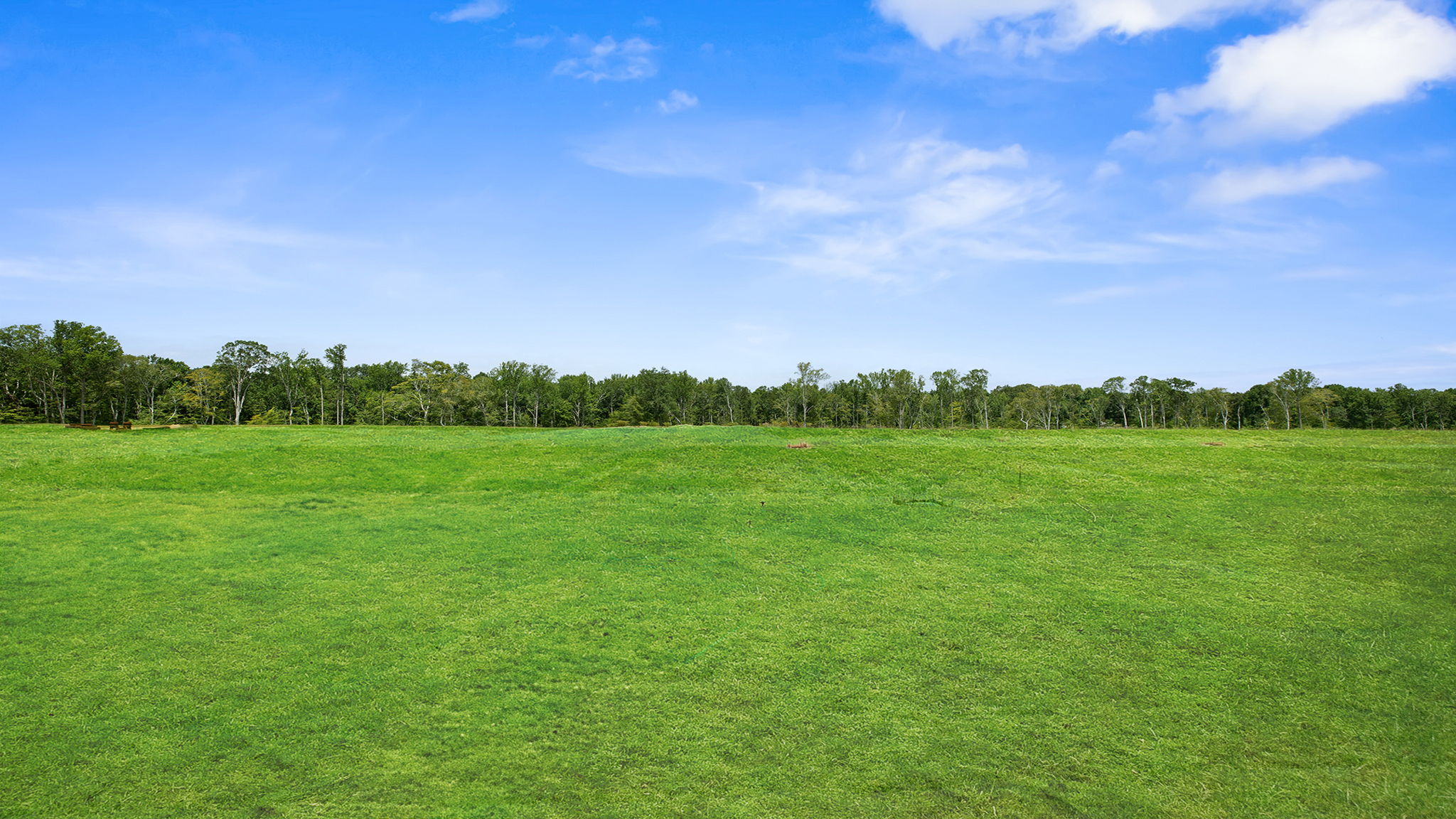 Exterior of home with large backyard.