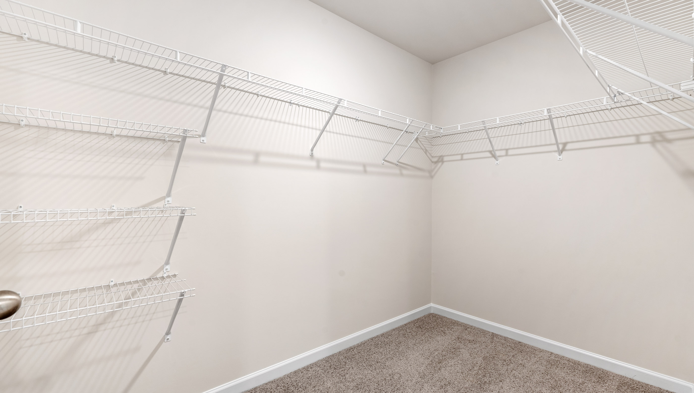 Primary bedroom walk-in closet with shelving.