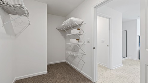 Primary closet with carpet.