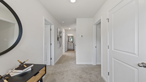 Top of stairs hallway with carpet.