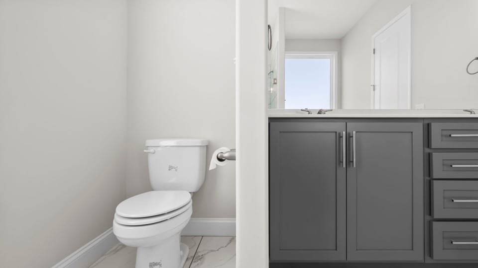 Toilet with double sink vanity.