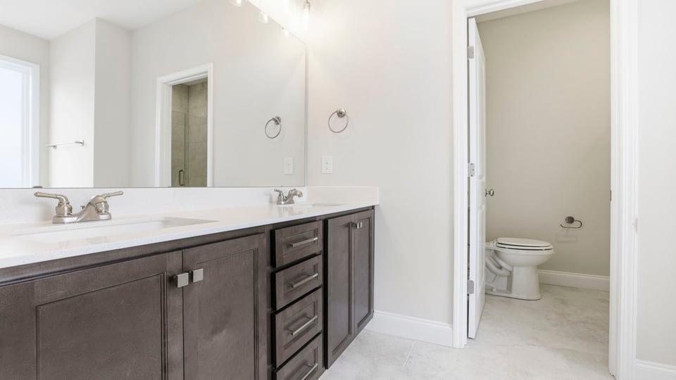 Bathroom with double vanity sink and walk in closet.