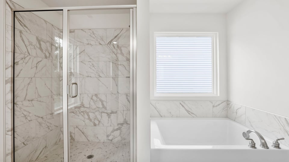 Bathroom with walk in shower and bathtub.