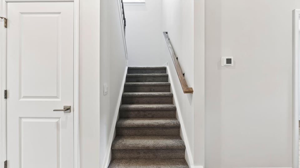 Stairs with carpet.