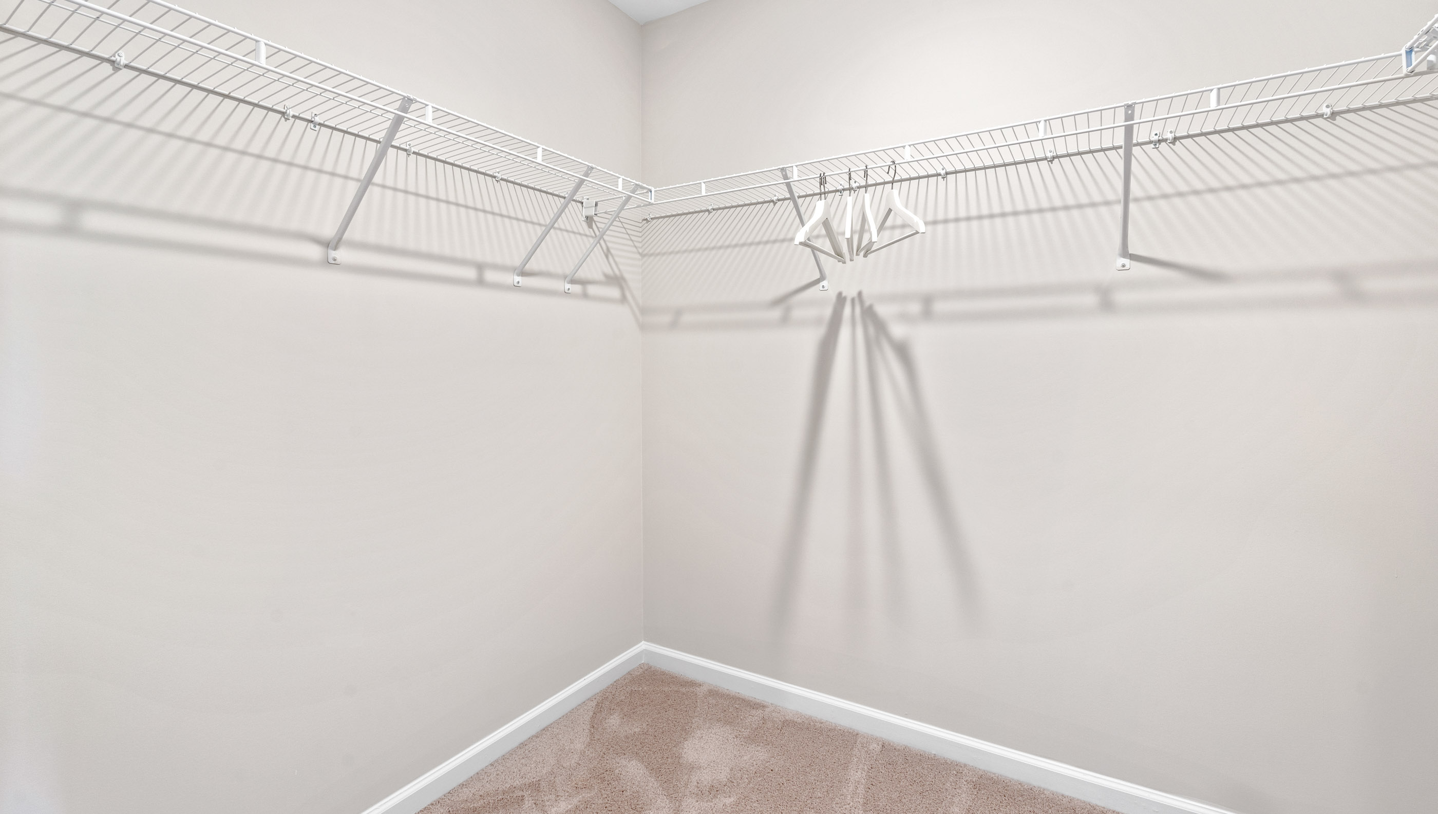 Primary closet with carpet and shelf.