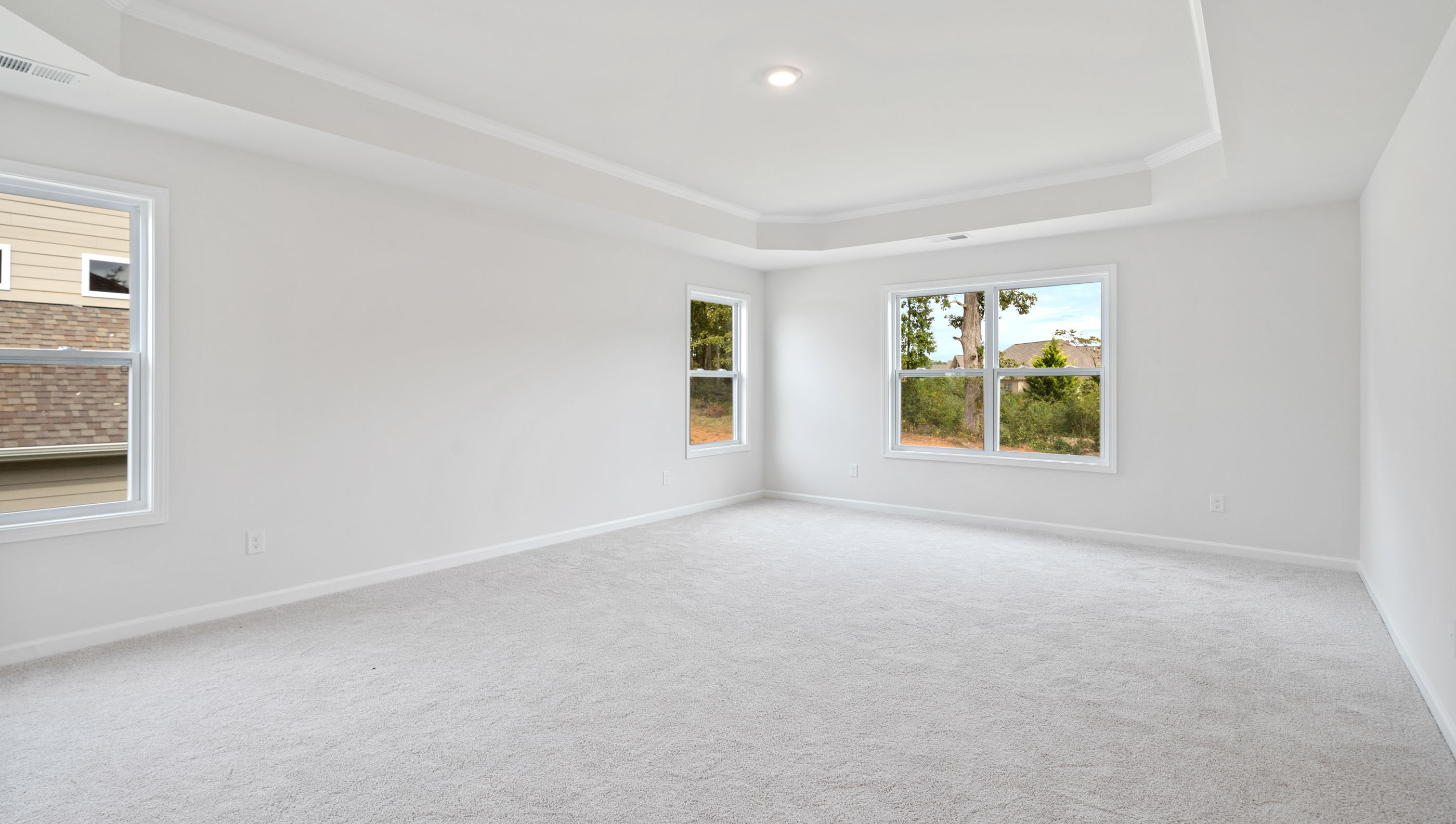 Primary bedroom with trey ceiling and several windows.