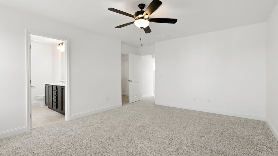 Primary bedroom with two large windows and carpet.