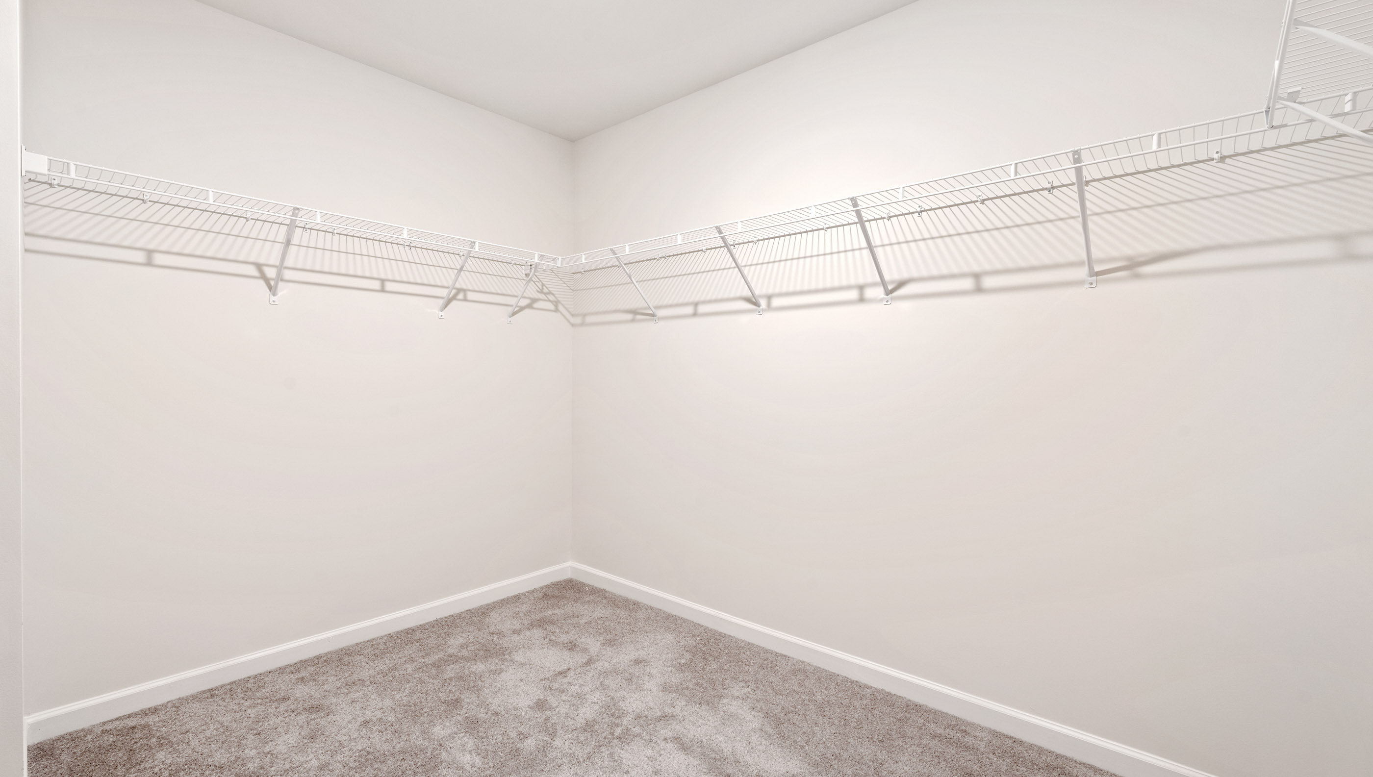 Primary closet with carpet.