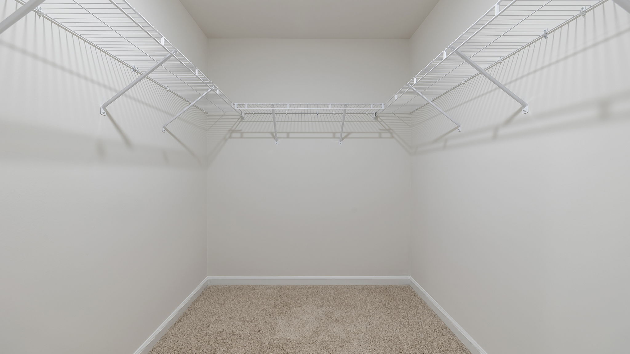 Primary closet with carpet.