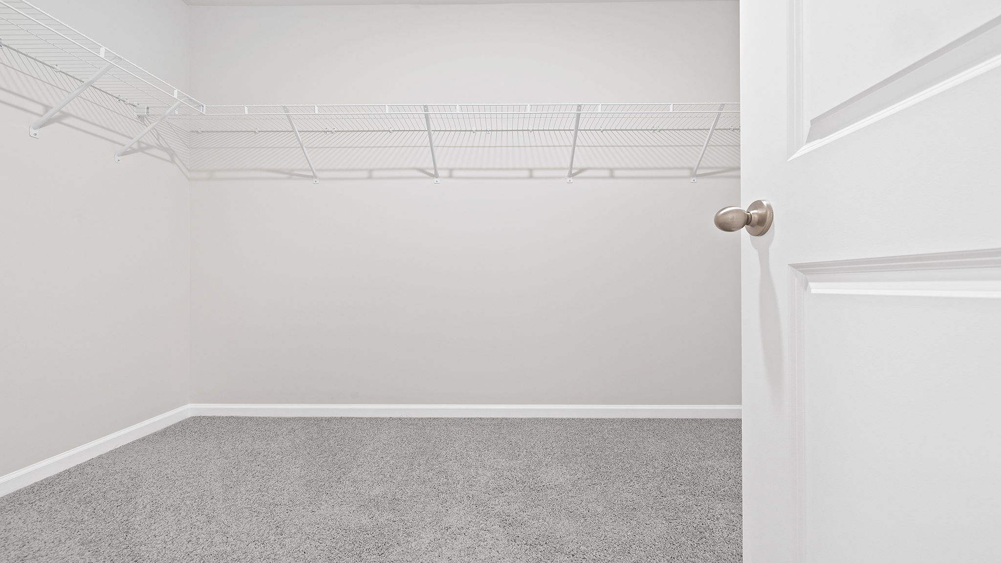 Primary closet with carpet.