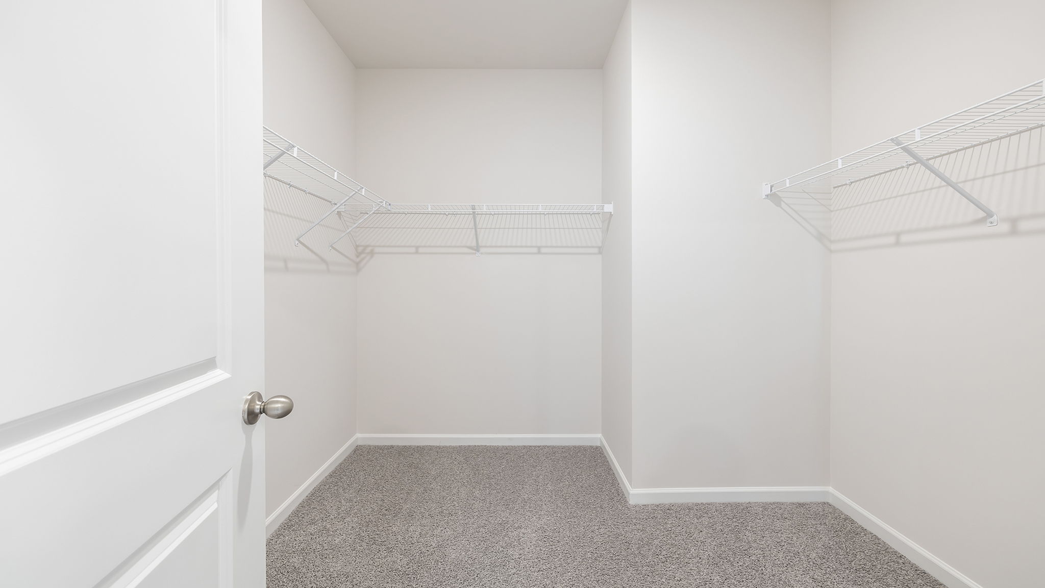 Primary closet with carpet.