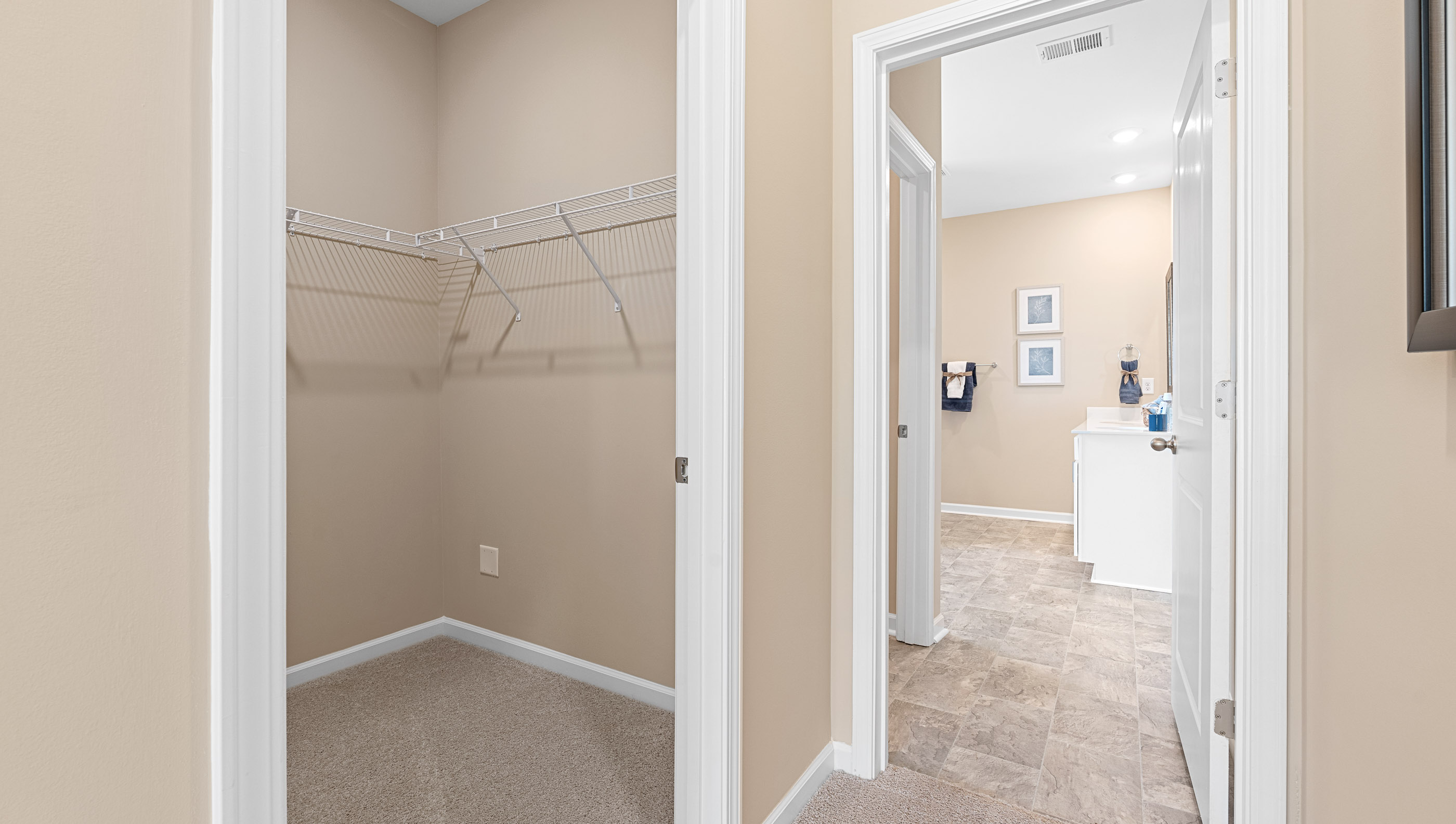 Primary closet with carpet.