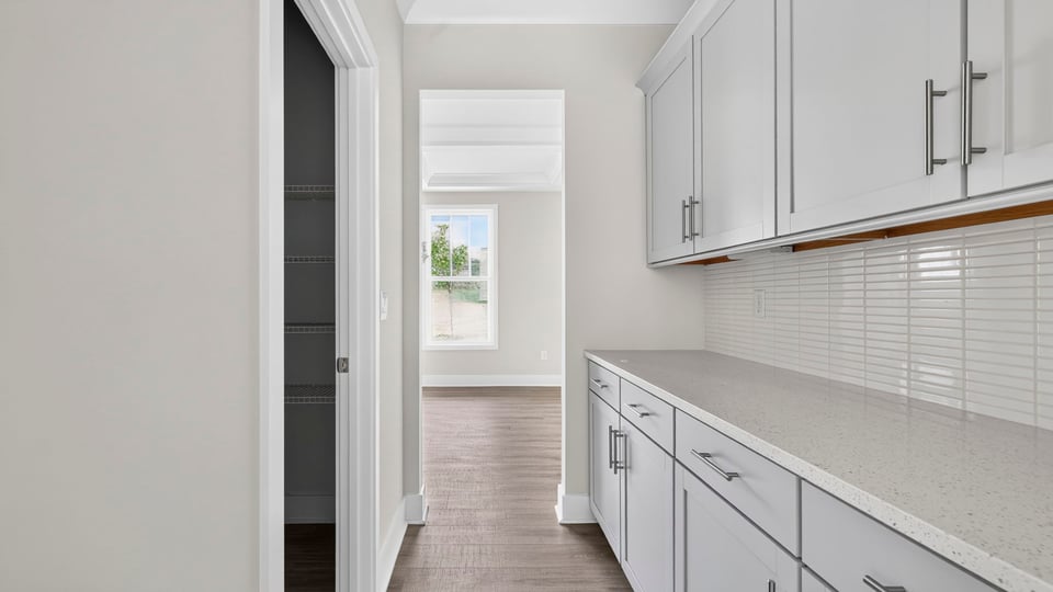 Hallway with storage.