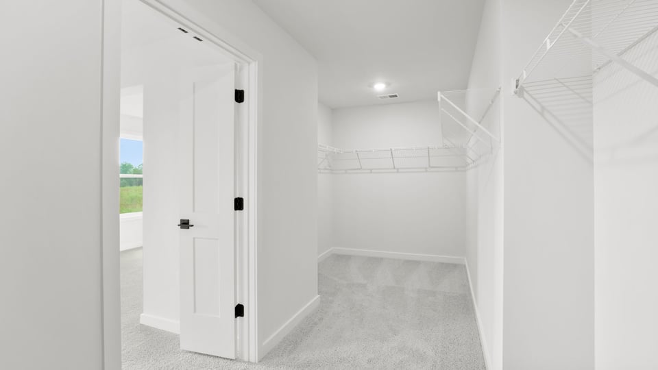 Walk in closet with carpet.