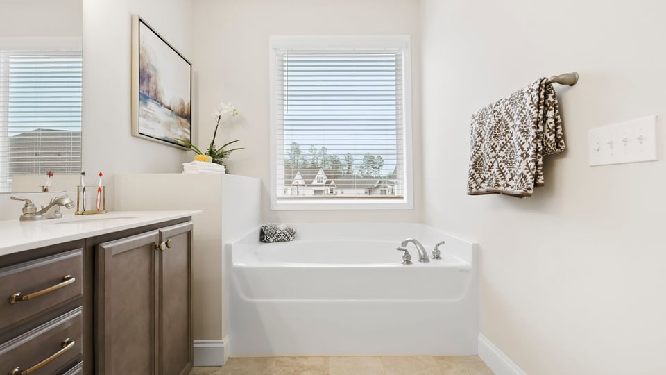 Primary bathroom with double vanity sinks.