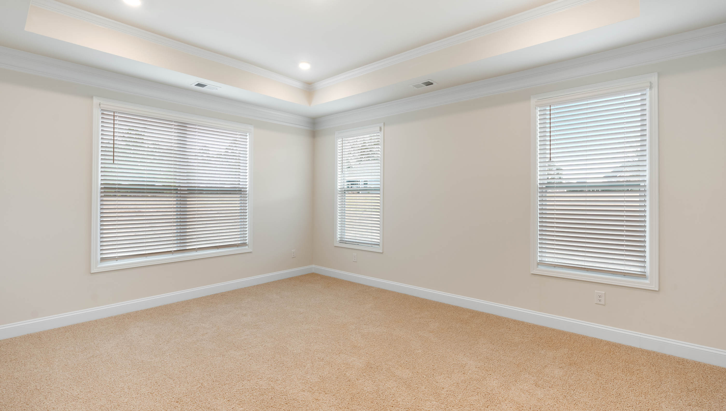 Primary bedroom with carpet and windows.