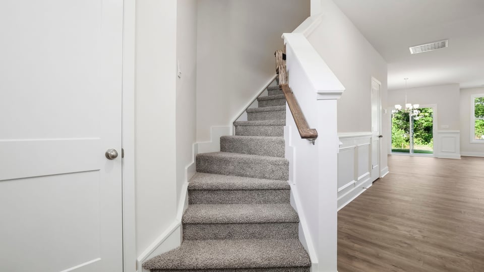 Stairs with carpet.