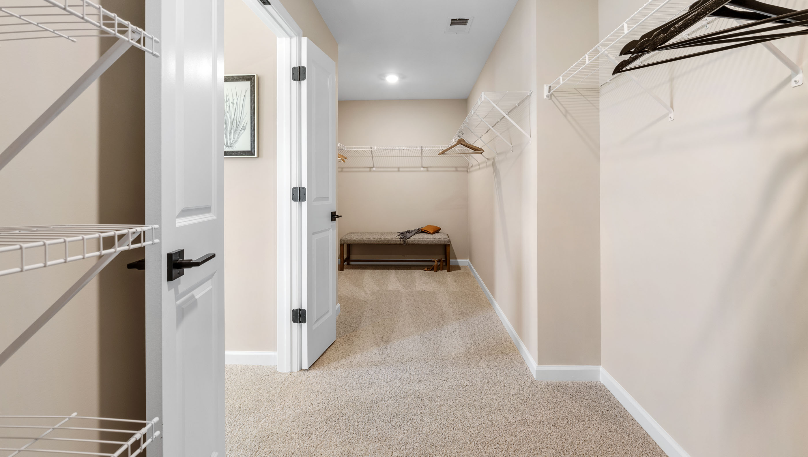 Primary closet with carpet.