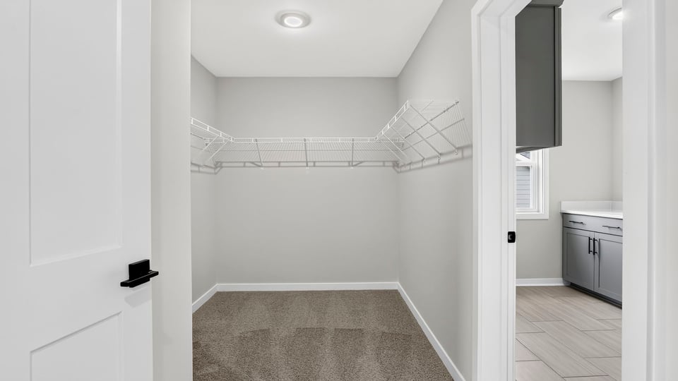 Primary closet with carpet.