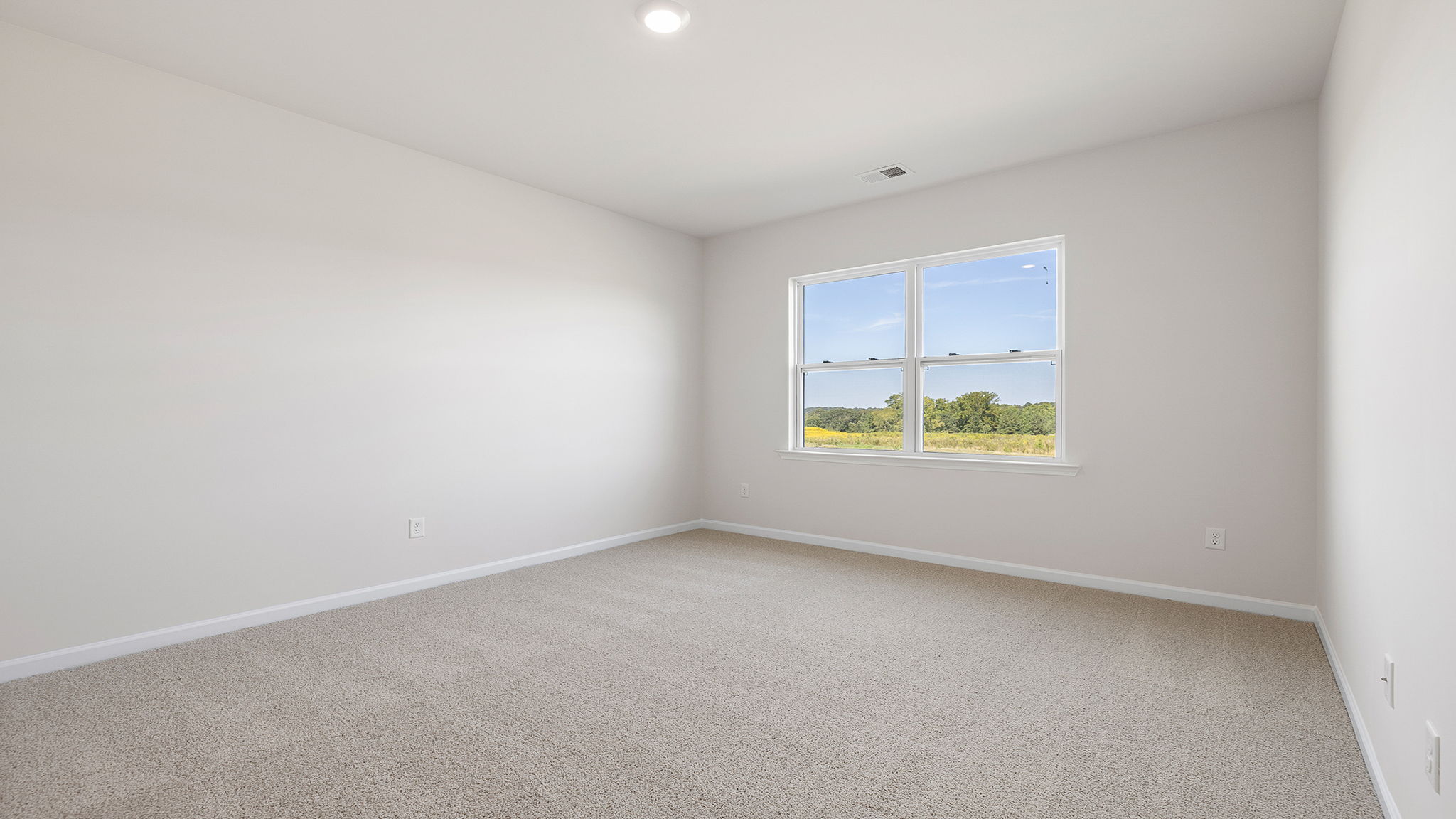 Primary bedroom with two large windows and carpet.