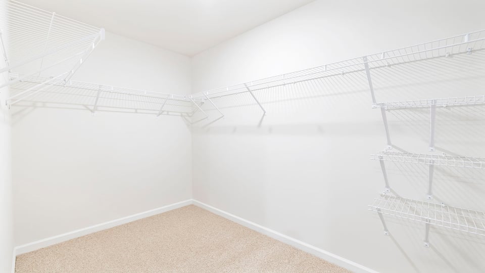 Primary closet with carpet.