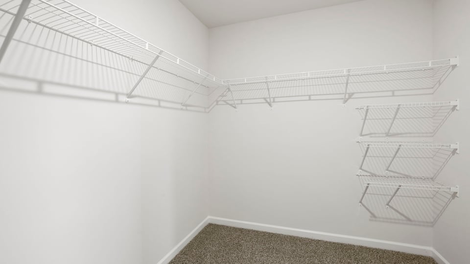 Primary bathroom closet