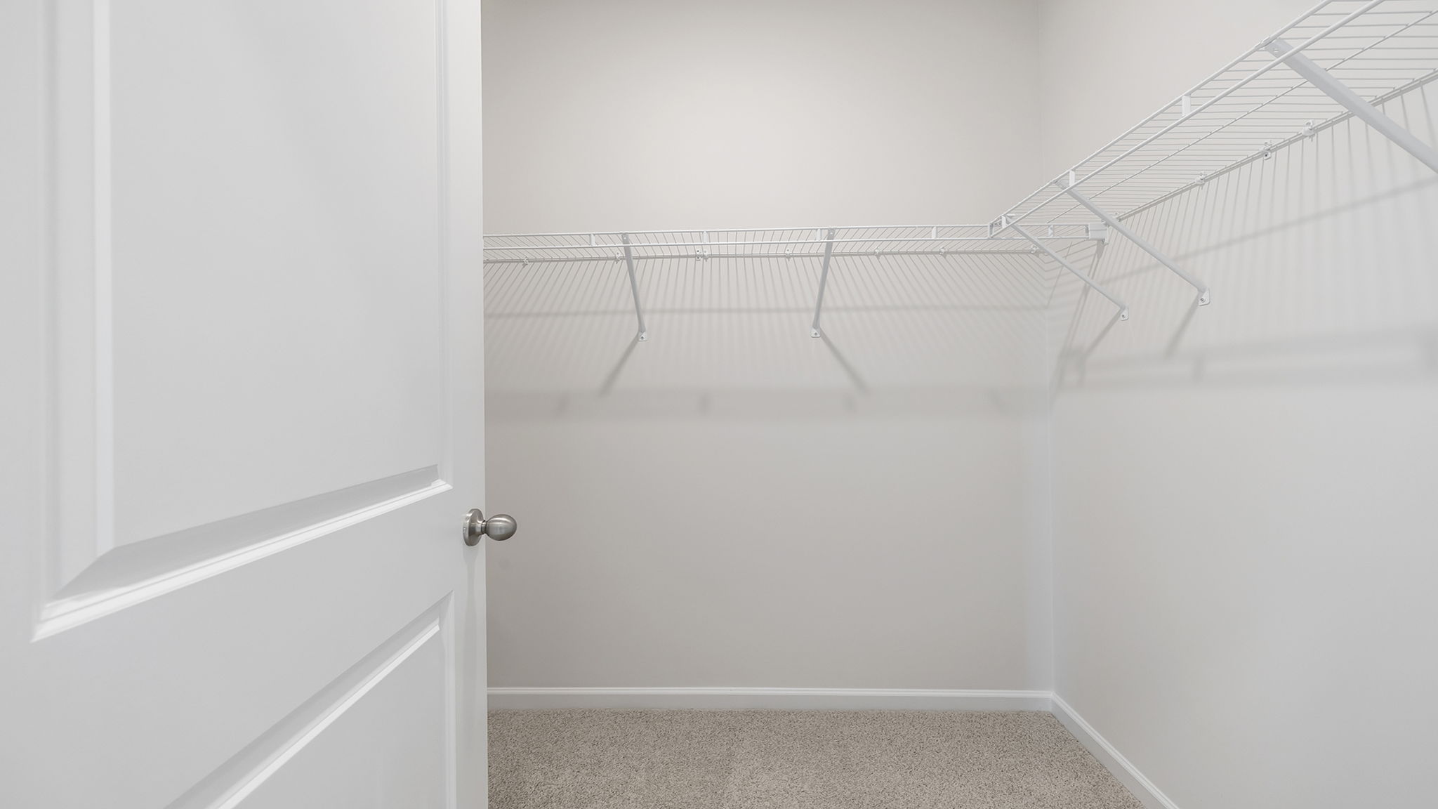 Primary closet with carpet.