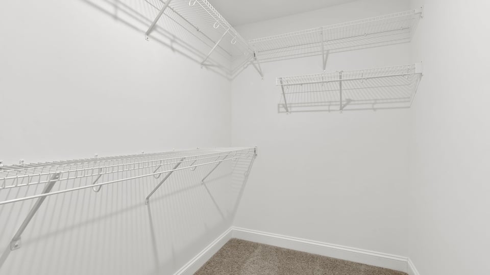 Primary closet with carpet.