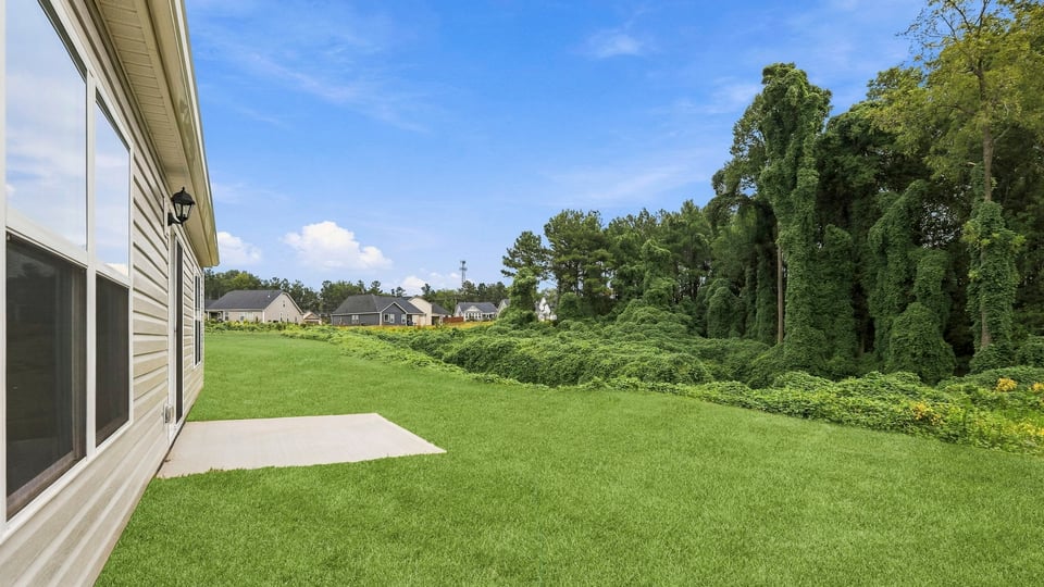 Back exterior with large backyard.