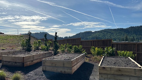 Terrace at Pleasant Valley Community garden