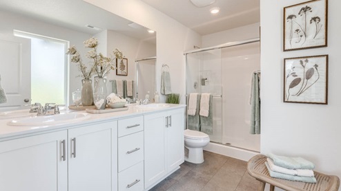 Terrace at Pleasant Valley Primary bathroom with a double vanity with solid surface countertops, mirror, shaker cabinets, toilet, flooring, two decorations, and walk in shower
