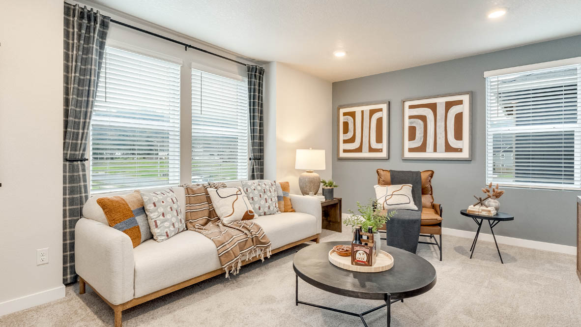 Butler Creek Crossing bonus bedroom with paintings, coffee table, white carpet, couch with pillows, hanging shelves, two chairs, a lamp, and windows with curtains