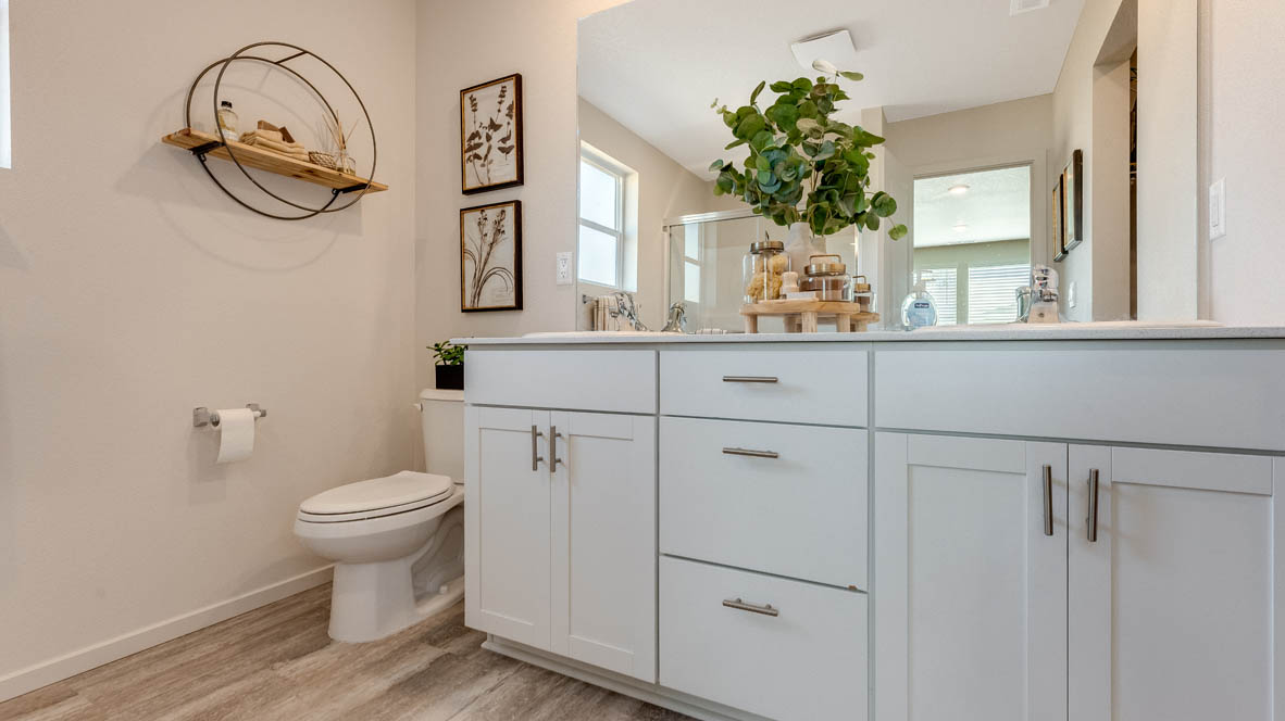East Park Village Primary bathroom with quartz countertops, cabinets, plants, toilet, decorations, mirror