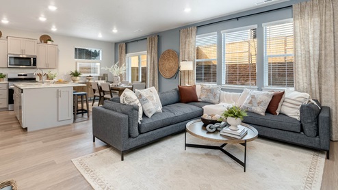 Misty Meadows great room with accent wall fire place, sectional L shaped couch over an area rug with a coffee table a leather chair