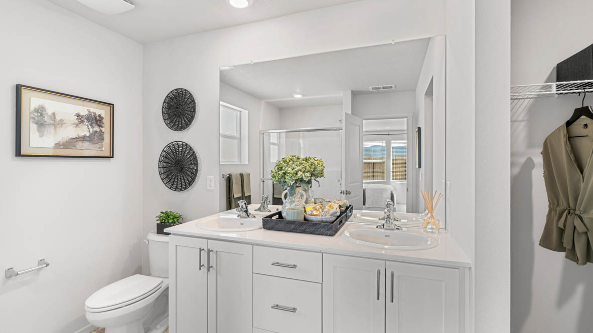 Addysen Park primary bathroom with vanity, mirror, toilet, quartz countertops, decorations