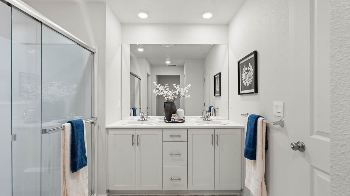 Addysen Park primary bathroom with vanity, mirror, toilet, quartz countertops, decorations, and the walk in closet in the background