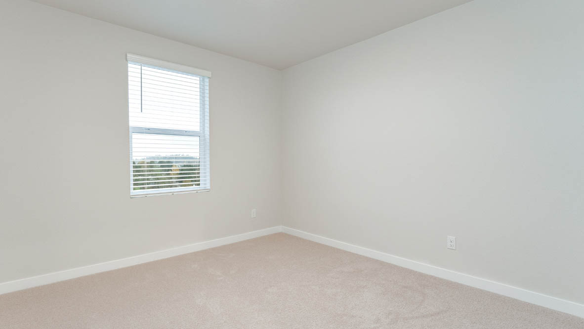 Avery Terrace bedroom with carpet, windows, and white walls
