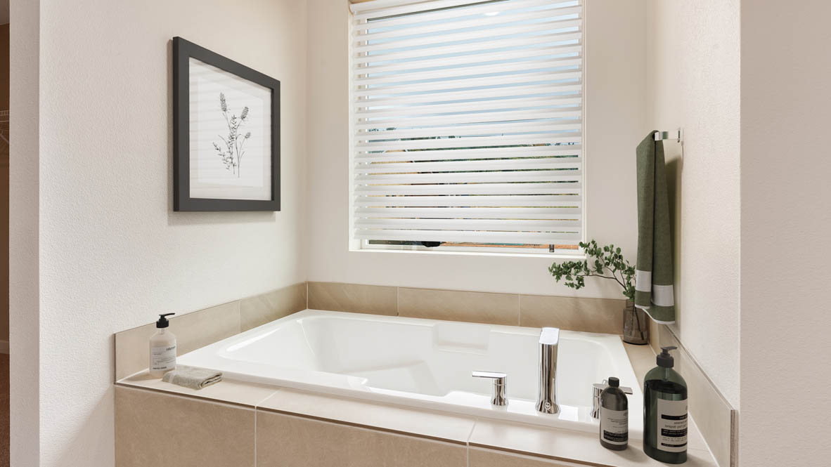 Avery Terrace primary bathroom tub