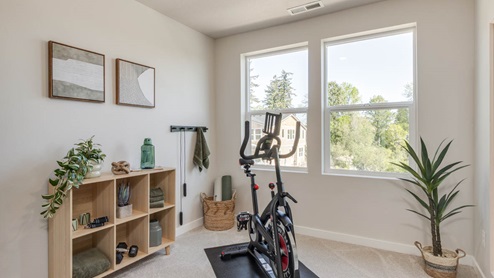 Gordon Creek Pointe bedroom home gym with square shelves, paintings, bike, windows, and plant