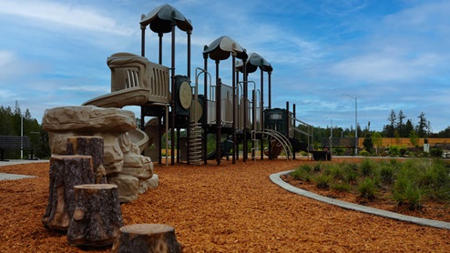 The Vineyards at Blue Pearl Playground