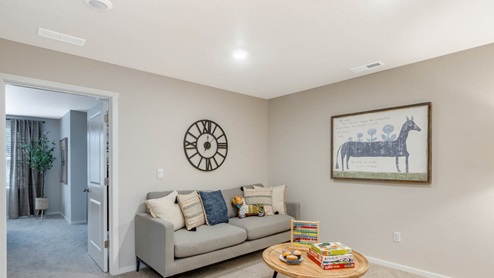 Blue Pearl Tech niche with couch and TV set up