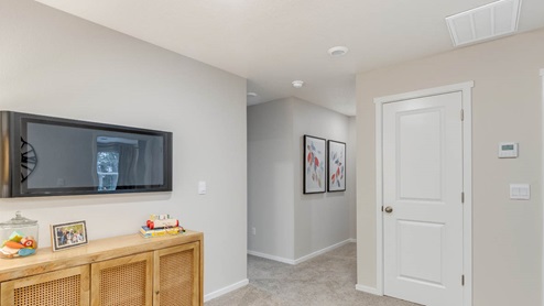 Blue Pearl Tech niche with couch and TV set up