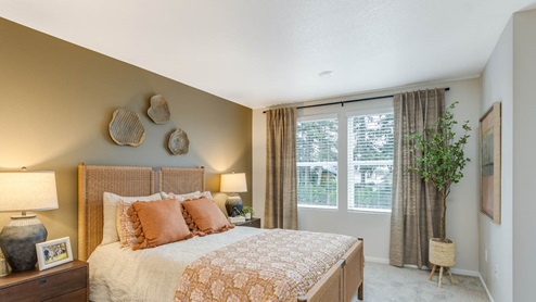 Blue Pearl Primary bedroom with accent wall, two windows with drapes, carpeting, and bed with peach colored bedding