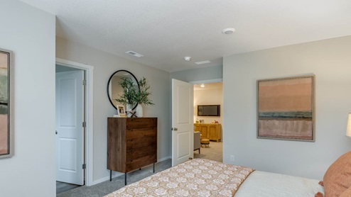 Blue Pearl Primary bedroom with accent wall, two windows with drapes, carpeting, and bed with peach colored bedding