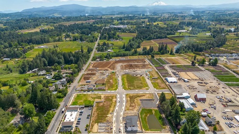 Blue Pearl aerial shoot 3