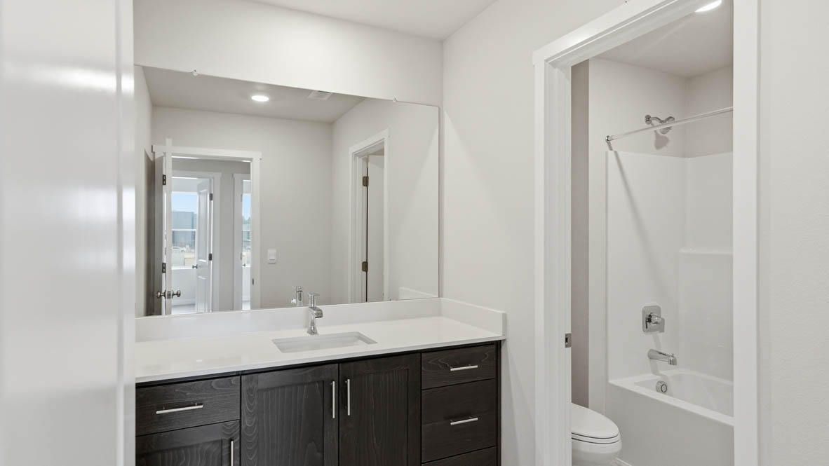 Stevens Ranch secondary bathroom with countertops, mirror