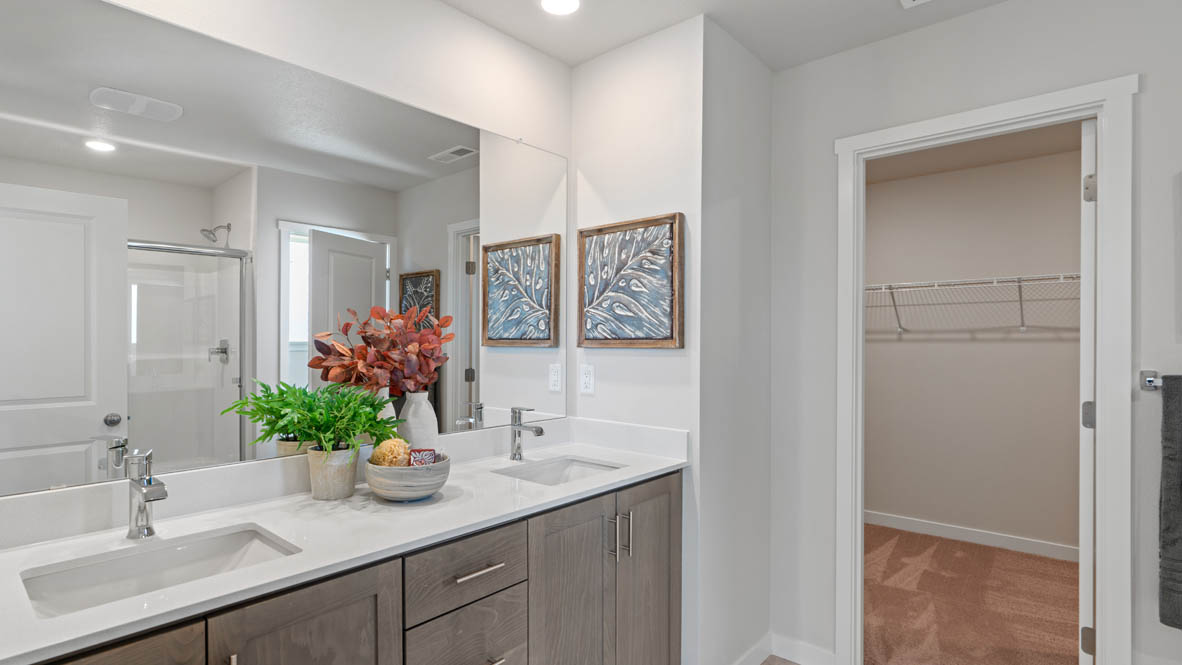 Stevens Ranch Primary Bathroom with cabinets, double vanity, mirror, plants, and the walk in closet in the bathroom