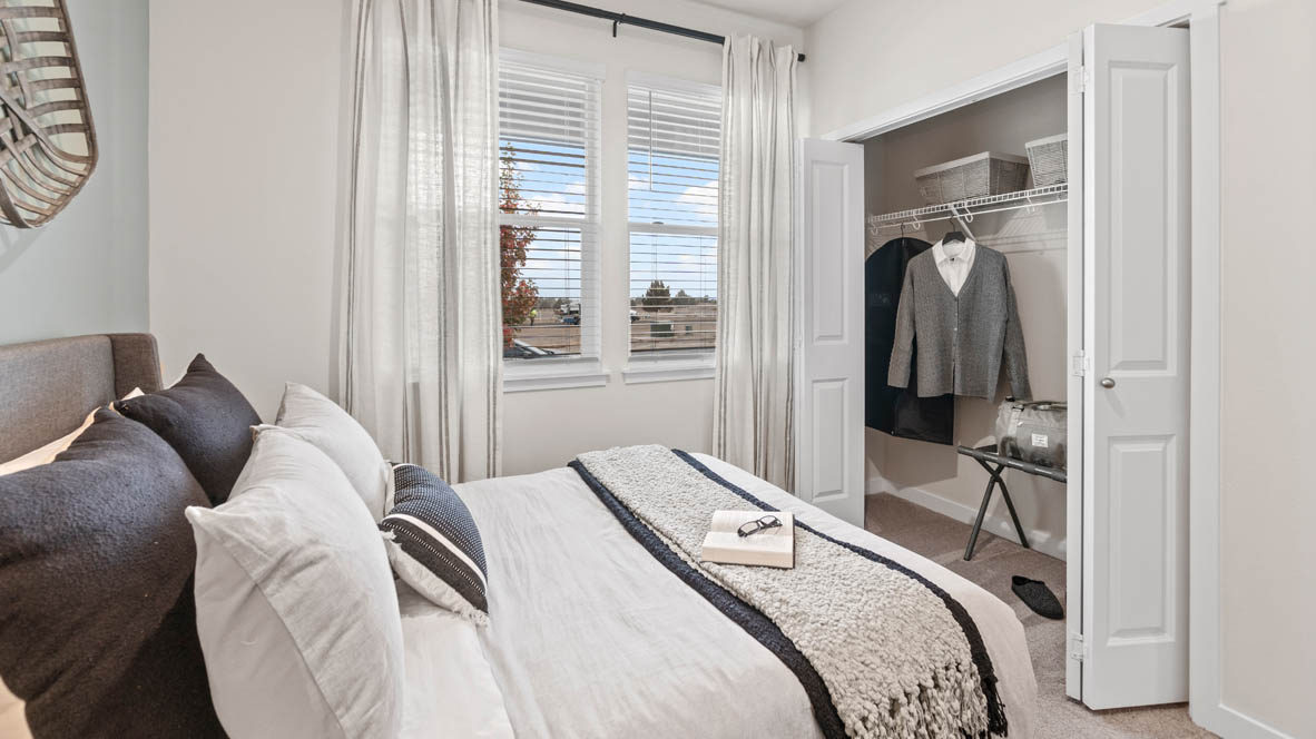 Stevens Ranch bedroom with carpet, plant on a stand, drawers, lamp, designs, windows, and closet