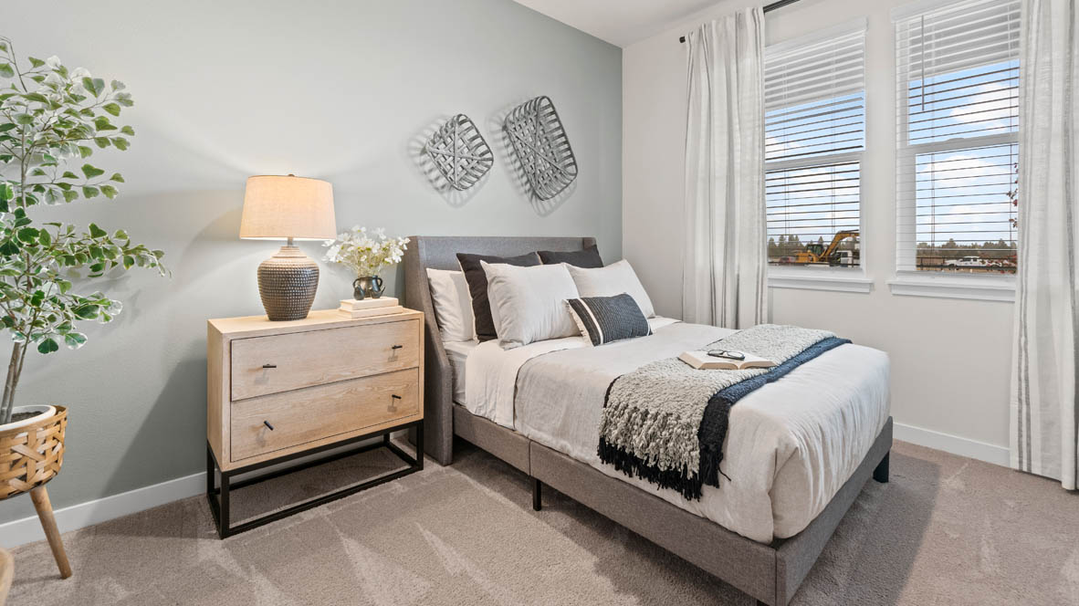 Stevens Ranch bedroom with carpet, plant on a stand, drawers, lamp, designs, windows