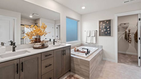 Stevens Ranch Primary bathroom with dark stained cabinetry, two sink vanity, bathtub, walk in closet, and shower